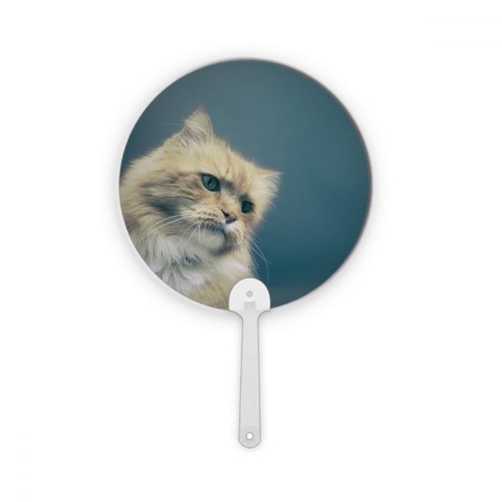 Éventail portable chat bleu décoration artisanat plastique rond