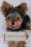 How To Take Care Of A Teacup Yorkie Puppy: Must-Have Book For First-Time Puppy Owners: Teacup Yorkie Behavior (English Edition)