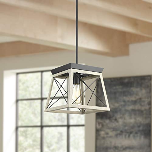 Image of Progress Lighting Briarwood Collection 1-Light Coastal Mini-Pendant Light Graphite, Black
