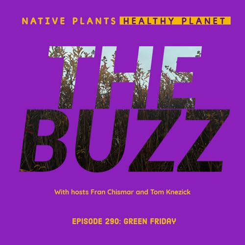 The Buzz - Green Friday