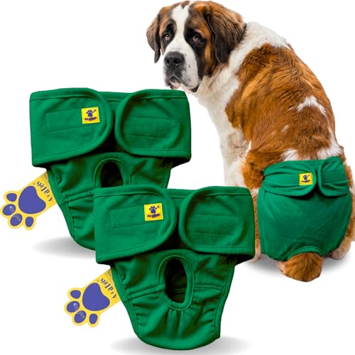 Image of A+a Pets' MAA' Cotton Dog Underwear Diaper Combo - Stretchable, Comfortable, Washable & Reusable (XXL, Green Set)