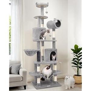 C81 Artistic Curved Cat Tower for Small Cats(Under 12 lbs), 81-inch Slim Design Cat Tree with Space-Saving Design, Indoor Cat Condo with Hammock & Tunnel, Light Gray, Non-Large Cats