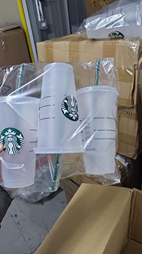 Starbucks Reusable Hard Plastic 3-Piece Bench 24oz Frosted Ice Cold Drinking Cup with Lid Green Straws with Stopper
