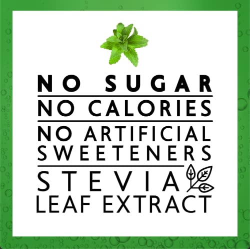 Green Cola - Sugar Free, Zero Calories, Naturally Sweetened with 100% Stevia Leaf Extract, Carbonated Soda, 100% Cola Taste, 12 Fl Oz each can - Pack of 12