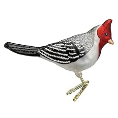 Red-crested Cardinal