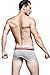 sandbank Men's Sexy Lingerie Cotton Tie Rope Cute Boxer Brief Underwear Panties (US XS=Asian Tag M,Grey#1)
