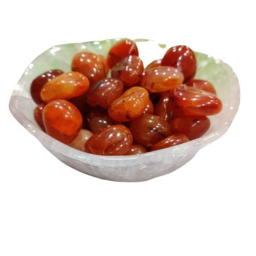Crystal Cave Exports Red Carnelian Tumble Stone 100 Gram Carnelian Crystal Tumbled Carnelian Stone Carnelian Worry Stone Reiki Crystal Healing (B08DCXF2D3) Amazon Price History, Amazon Price Tracker