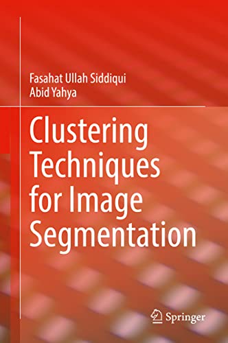 Clustering Techniques for Image Segmentation view 2