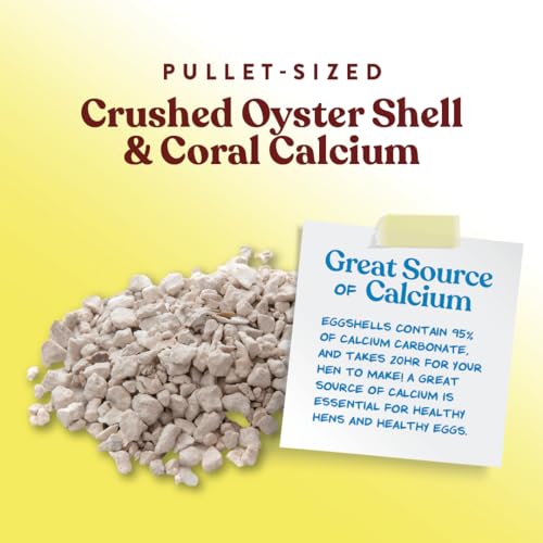 Manna Pro 1000210 Crushed Oyster Shell | Egg-Laying Chickens thumb #3