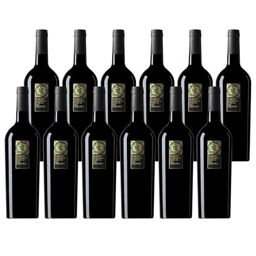 Feudi di San Gregorio | Rubrato Vino Rosso Irpinia Aglianico Annata 2021 | Confezione da 12 Bottiglie da 375ml