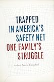 Trapped in America's Safety Net: One Family's Struggle (Chicago Studies in American Politics)