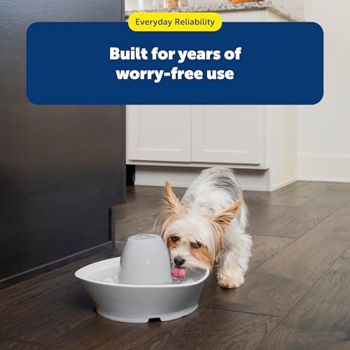 Image of PetSafe Drinkwell Pet Fountain Replacement Carbon Filters, (Pack of 48)