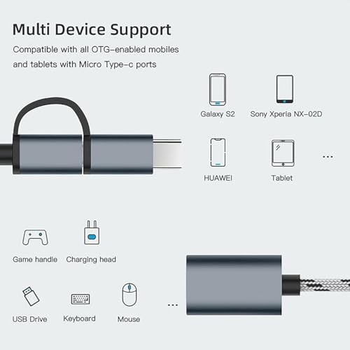 Image of RDG Universal 2 in 1 OTG Adapter Cable Micro USB + USB C to USB 3.0 Female Connector Cable, OTG Cable, Compatible Transmission & Charging, for All Supported Micro and Type C Device (Silver Matte)