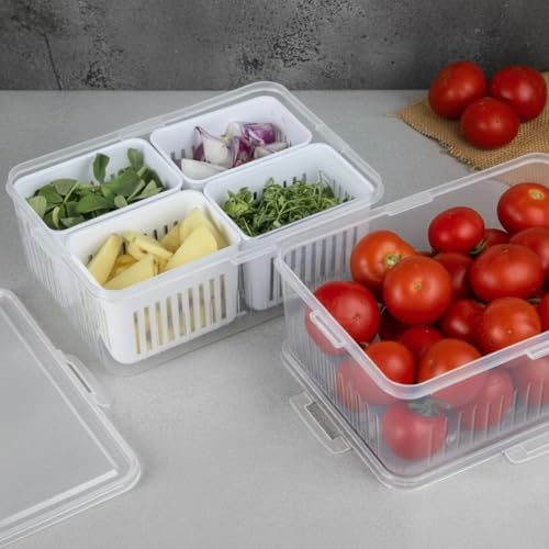 Image of TASMAX Fridge Storage Boxes, Plastic Fridge Containers, Fridge Accessories Items, (FRIDGE CONTAINER 4 GRID WITH LOCK)