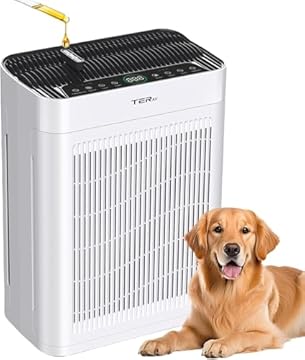 best air purifier without prop 65 warning