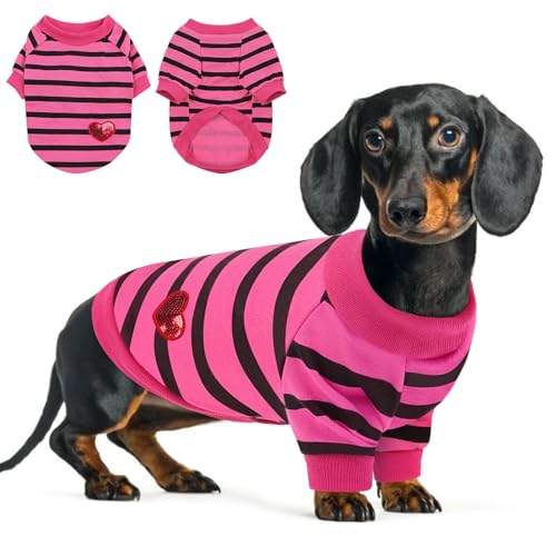 Queenmore Small Dog Shirt,Soft Breathable Dog Shirt for Dogs Cats Boy Girl,Pet Clothes for All Season,Breathable Lightweight Pet Tshirt for Frenchie, Dachshund, Yorkie