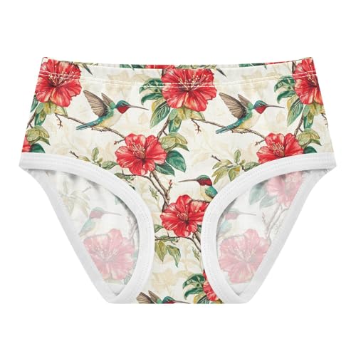 ZZKKO Hummingbird Red Flower Girls Underwear Toddler Panties for Girls Comfort Brief Size 2-8T