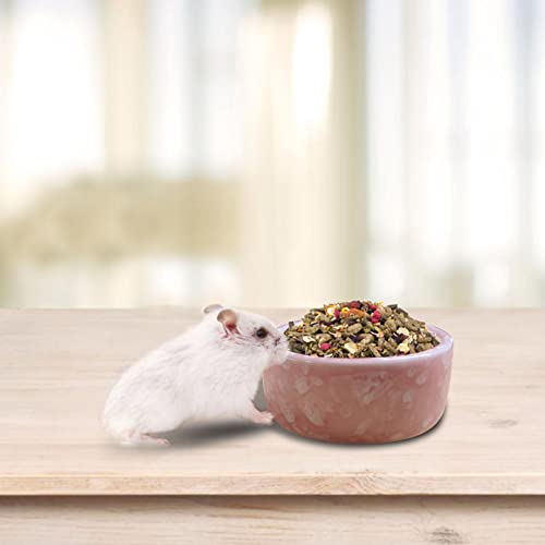 Kathson 2 Pcs Hamster Food Bowl Guinea Pig Ceramic Water Bowl Small Animal Feeding Dish For Dwarf Hamster Gerbil Syrian Ferret Hedgehog Chinchilla Bunny (Pink)… thumb #5
