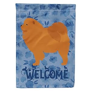 Caroline’s Treasures CK6178GF Chow Chow Welkom vlag tuin grootte, klein, veelkleurig