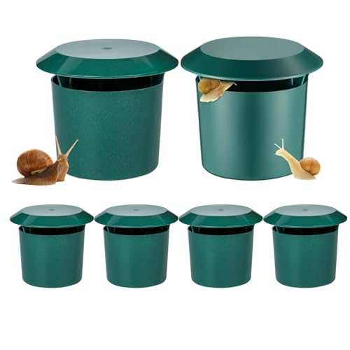 J^cߊlgbv,11.3x9.5cm P[WRg[,W ANAE  XlC gbv | OK[f ƒ؉ A p