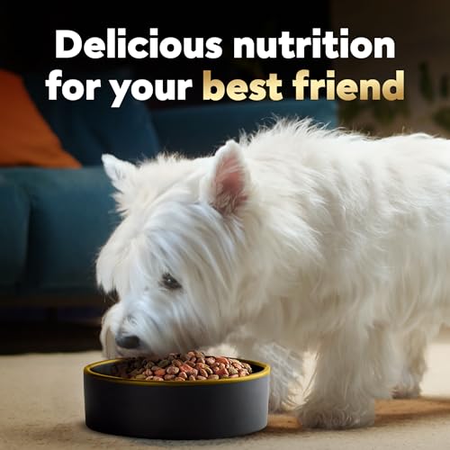 Image of Cesar Small Breed Dry Dog Food for Small Dogs, Porterhouse Flavor and Spring Vegetables Garnish, 5 lb Bag (Pack of 4)