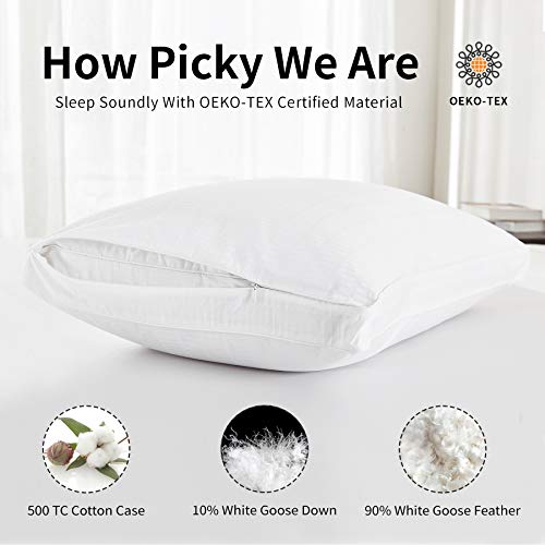 Basic Beyond Goose Feather Down Pillows, Queen Size Set Of 2 Feather Pillows, Hotel Pillows For Sleeping, 18" X 28" #TOP1