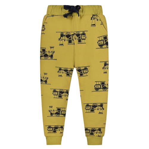 Toddler Boy Girl Dinosaur Print Sweatpants Cotton Drawstring Elastic Waist Sport Jogger Pants with Pocket Toddler