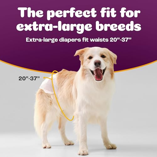 Image of Inspire Pet Care Dog Diapers Female Dogs | Bulk Value Doggie Incontinence, Accidents, for Heat, Pee or Period and Housebreaking (X-Large (28 Count))