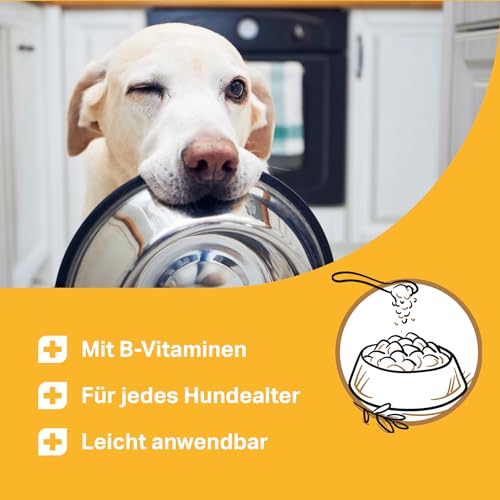 MEDIDOG Multi Vitamin B Komplex Tabletten – ca. 260 Tabletten – hochdosiert, mit VIT. B1, B2, B3, B6, B12, VIT. A, VIT. E, mit Casein, Bierhefe und Kurkuma