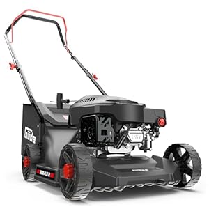 Güde Tondeuse à Gazon ECO Wheeler 390 1,6 R (Moteur à Essence 4 Temps 1,6/2 (KW/PS), Largeur de Coupe 390 mm, Dispositif de Capture 35 l, 3 Niveaux de Hauteur de Coupe 30-66 mm, Tonte, Collecte,
