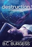 Destruction (The Mystic Series) (Volume 5)