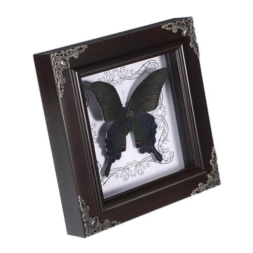 Toddmomy Elegant Wooden Butterfly Frame Specimen Artwork Photo Display Wall Decor Home Decor