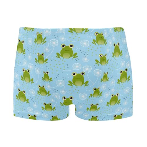 Cute Frog Mens Swim Trunk Swimwear Bathing Suit Swim Brief Square Leg Board Short S B0405227
