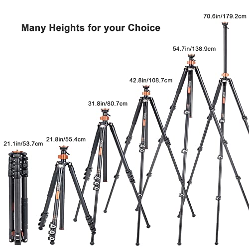 Cayer Camera Tripod Leg, 71 Inches Foldable Aluminum Tripod & Monopod Compatible With Video Head, Max Load 33Lb Compatible With Dslr Camera, Video Camcorder #TOP5