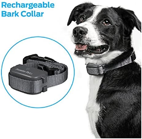 Elenest premier pet bark collar Clearance