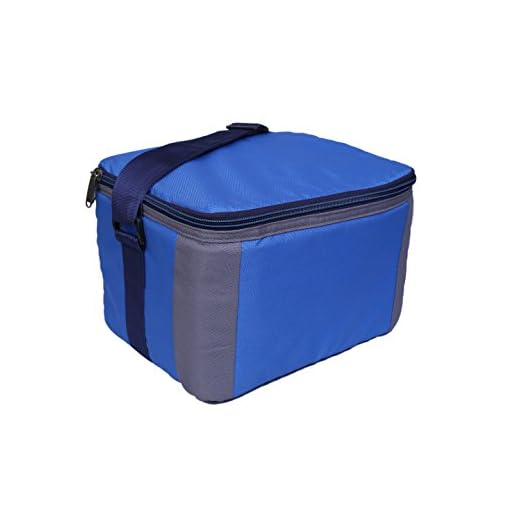 BagsRUs Polyester Insulated Portable Cooler Bag with Free Ice Pack, 11L, Royal Blue