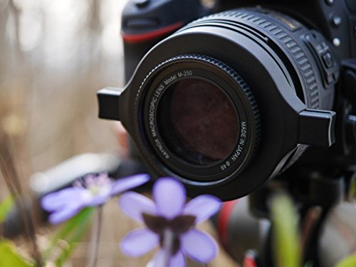 Raynox DCR-250 mm Super Macro Snap-On Lens (Black)