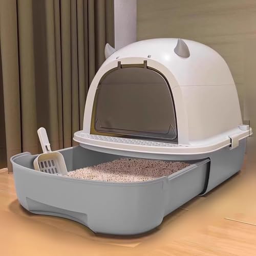 t lRgC Wt Lp ӂt ϋv ̔юUy o  Lh~ |ɂ KCh o e o֗ tLVub^[{bNX