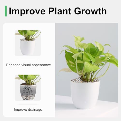 Image of 5 lbs Small Rocks for Plants, 1 /5 Inch Pebbles for Indoor Plants, Natural Decorative Pea Gravel for Aquarium, Fish Tank, Terrarium, Succulents, Bamboo Plants, Vases, Cactus, Crafts