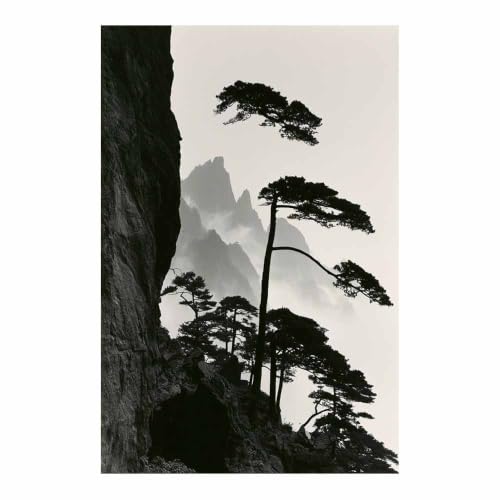 Art de silhouette de pin de montagne tableau HOQIU design multicolore