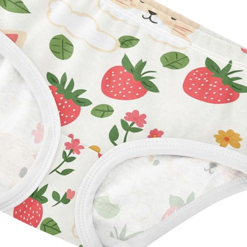 Wusikd Cartoon Cat Girls' Underwear Cotton Flower Heart Girls Briefs Soft Toddler Underwear 2T4