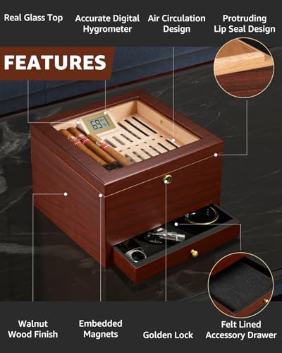 Flauno Cigar Humidor with Lock, Air Circulation System, up to 70 Cigars, Spanish Cedar Wood, Accurate Digital Hygrometer, Drawer, Humidifier, Divider, Gift for Cigar Lovers - Image 5