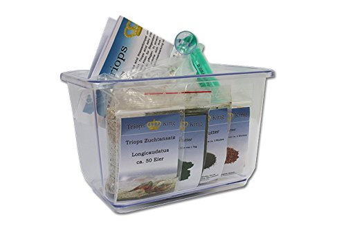 Urzeitkrebse Einsteiger Set II 50 Eier und einem grünen Deckel - Inkl. Futter, Anleitung, Sand, Thermometer, Triopseiern der Art Longicaudatus und vielem mehr