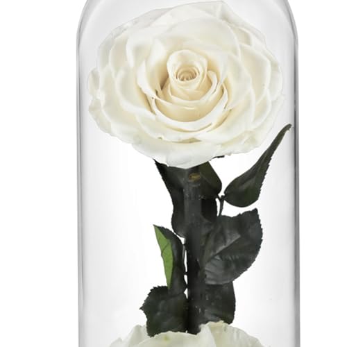Flower Gift for, White miniatura 2