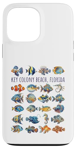 �L�[�R���j�[�r�[�`�t�����_�J���t���t�B�b�V���f�U�C�� �X�}�z�P�[�X iPhone 13 Pro Max �p