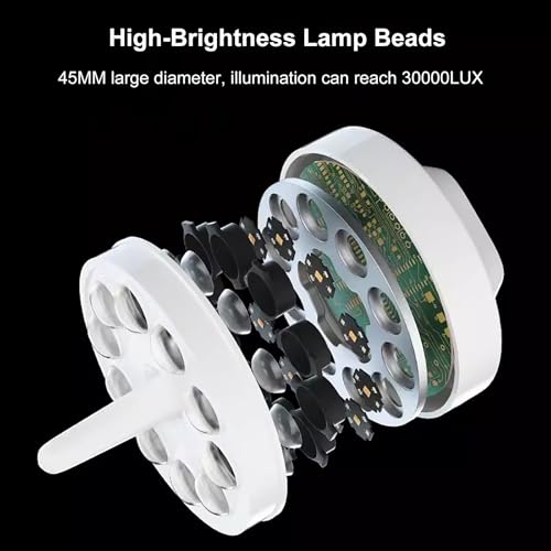 Lampa Do Badania Na Statywie Podłogowym, Mobilna Lampa Bezcieniowa Led, Lampa Stomatologiczna Do Jamy Ustnej, Lampa Chirurgiczna, Lampa Do Badania Ginekolo