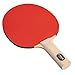 STIGA Beginner Ping Pong Paddles - Recreational to Performance Table Tennis Rackets Ages and Skill Levels - Multiple Styles + Performance Levels Available