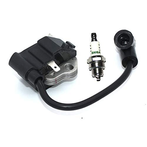 Candela di accensione BM6A per Ryobi Homelite