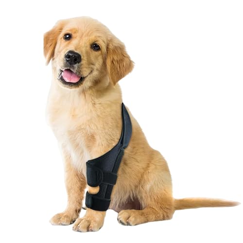 Knieorthese für Hunde bei gerissenem vorderen Kreuzband am Hinterbein, verstellbare Hüftstütze für Hunde bei Patellaluxation, Hundebeinorthese für Hinter- oder Vorderbein seitlichen Stabilisatoren (L)