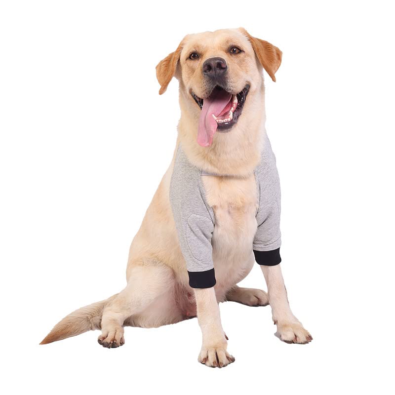 Amazon | 犬 前足 肘 けが 保護 前足サポーター 犬用膝サポーター 関節